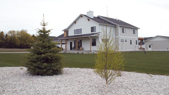bg21